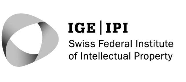 IGE_IPI_Logo